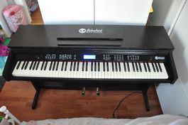 Piano numérique Schubert