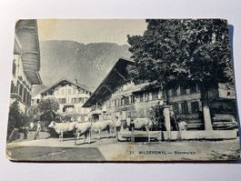 wilderswil interlaken oberland