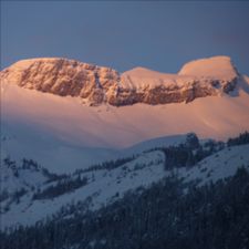 Profile image of Celectra