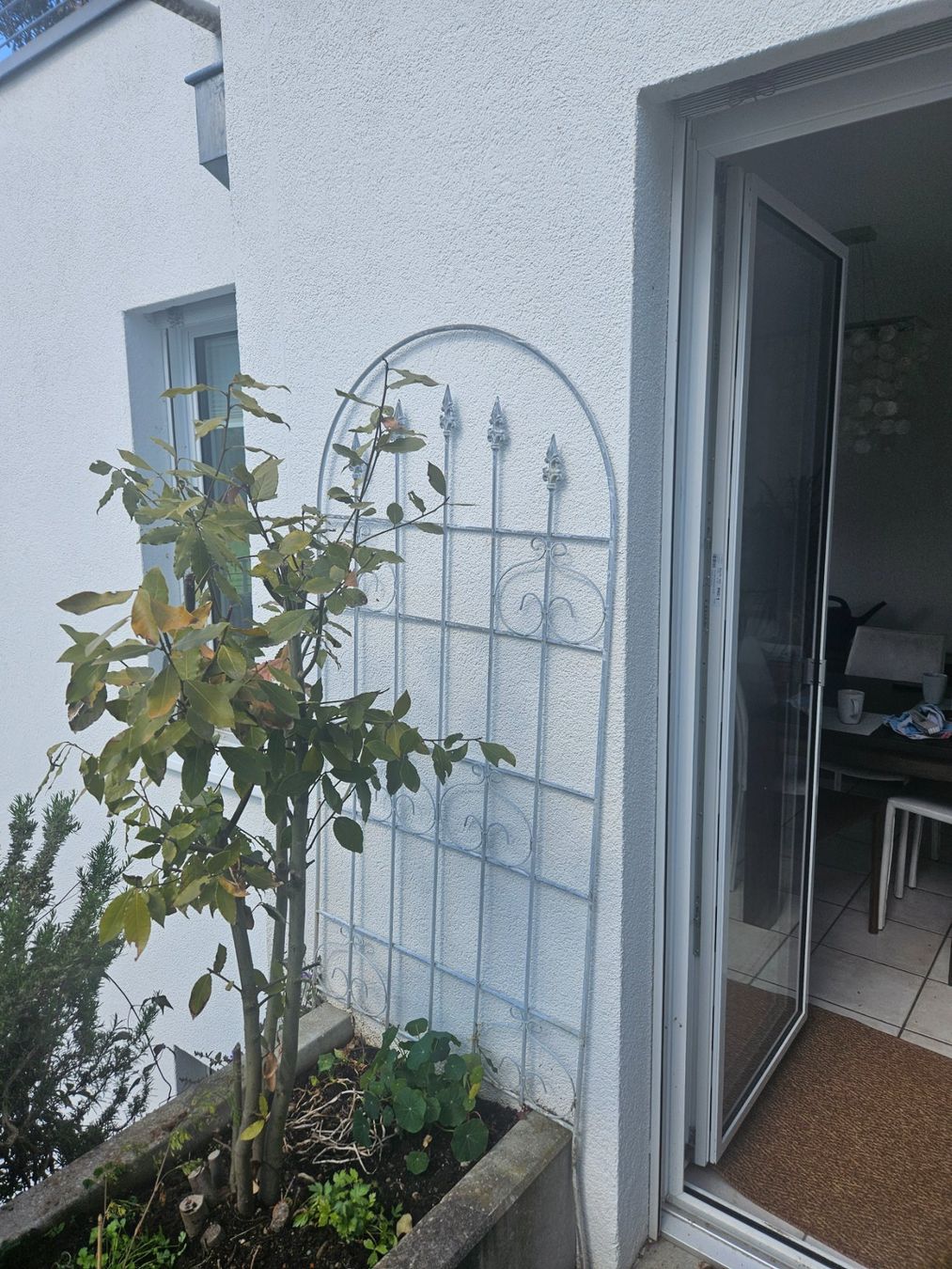 Altre Decorazioni per giardino: Rankgitter – Usato da Uerikon venduto da sternenfrau