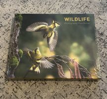Wildlife Fotografie Buch von Pius Notter