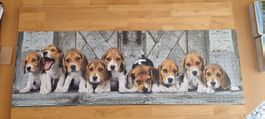 1000 Puzzle Panorama