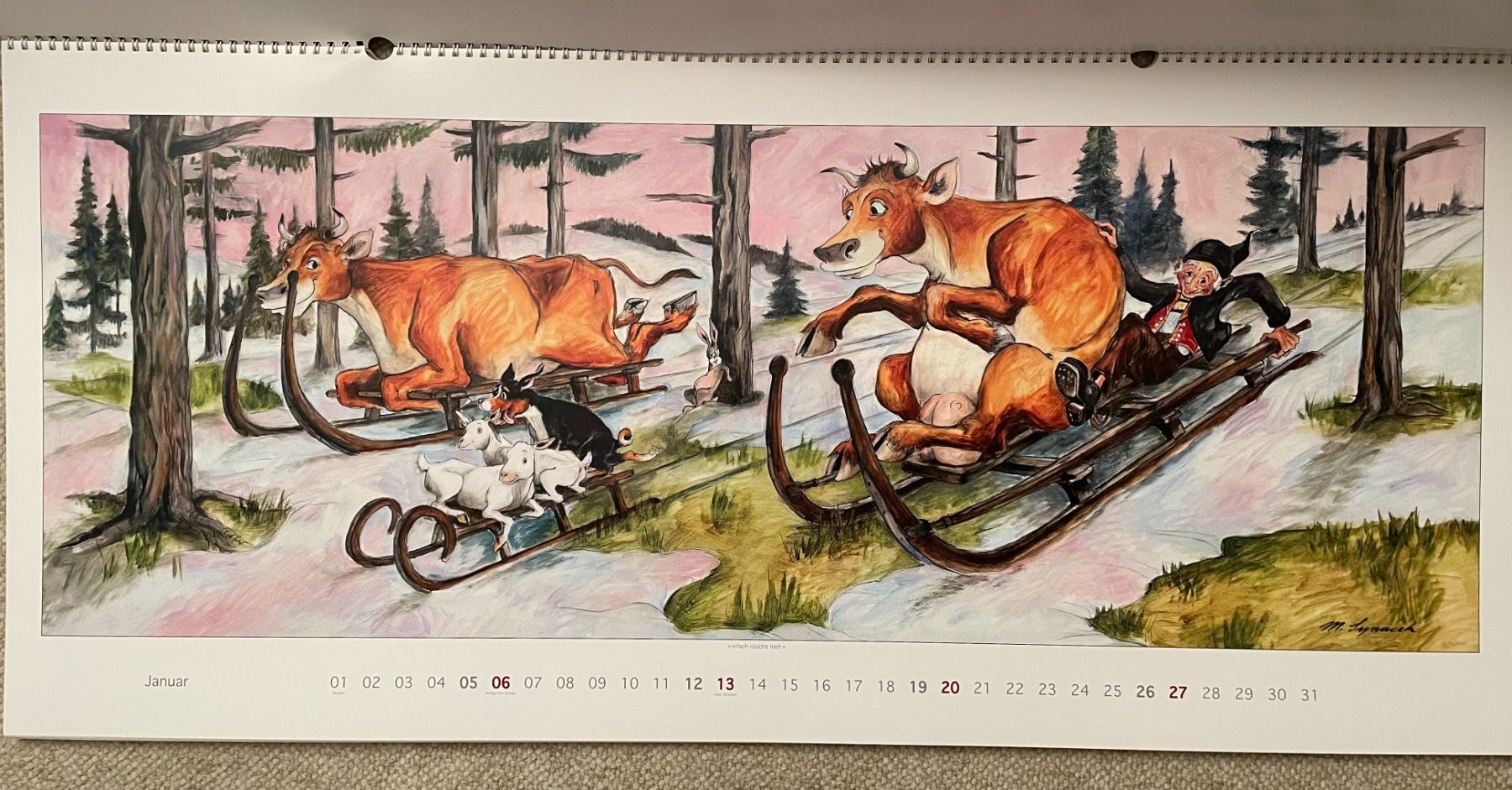 Calendari: Synacek Kalender – Usato da Rümlang venduto da Boehneli7 1