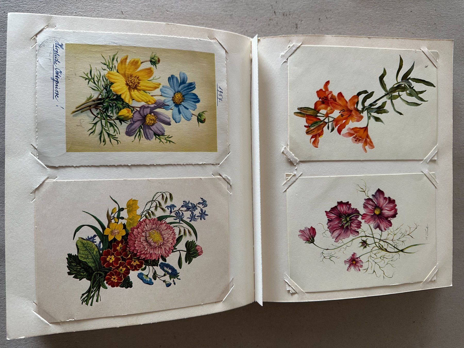 Cartoline postali: Kartenalbum mit Blumenpostkarten – Usato da Mühlethal venduto da Buntfarbe 1