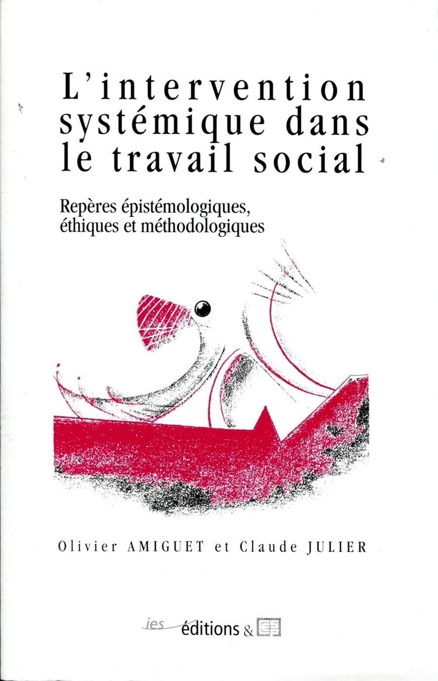 Libri: L'intervention systémique dans le travail social – Usato da Neuchâtel venduto da Dualseele
