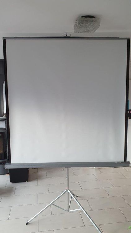 Grosse Leinwand für Beamer (Gebraucht) in Thun für CHF 41 – nur ...