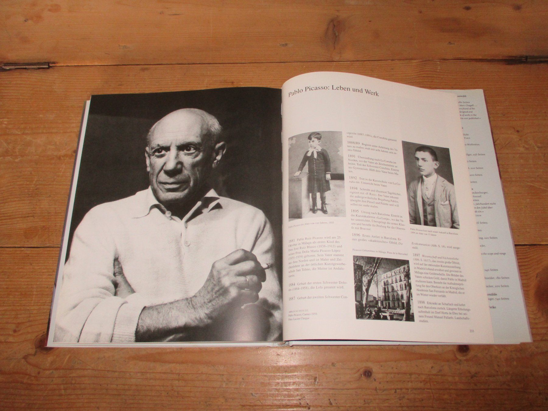 Livres: Picasso – D'occasion à Flims - Dorf par Stagediver 5