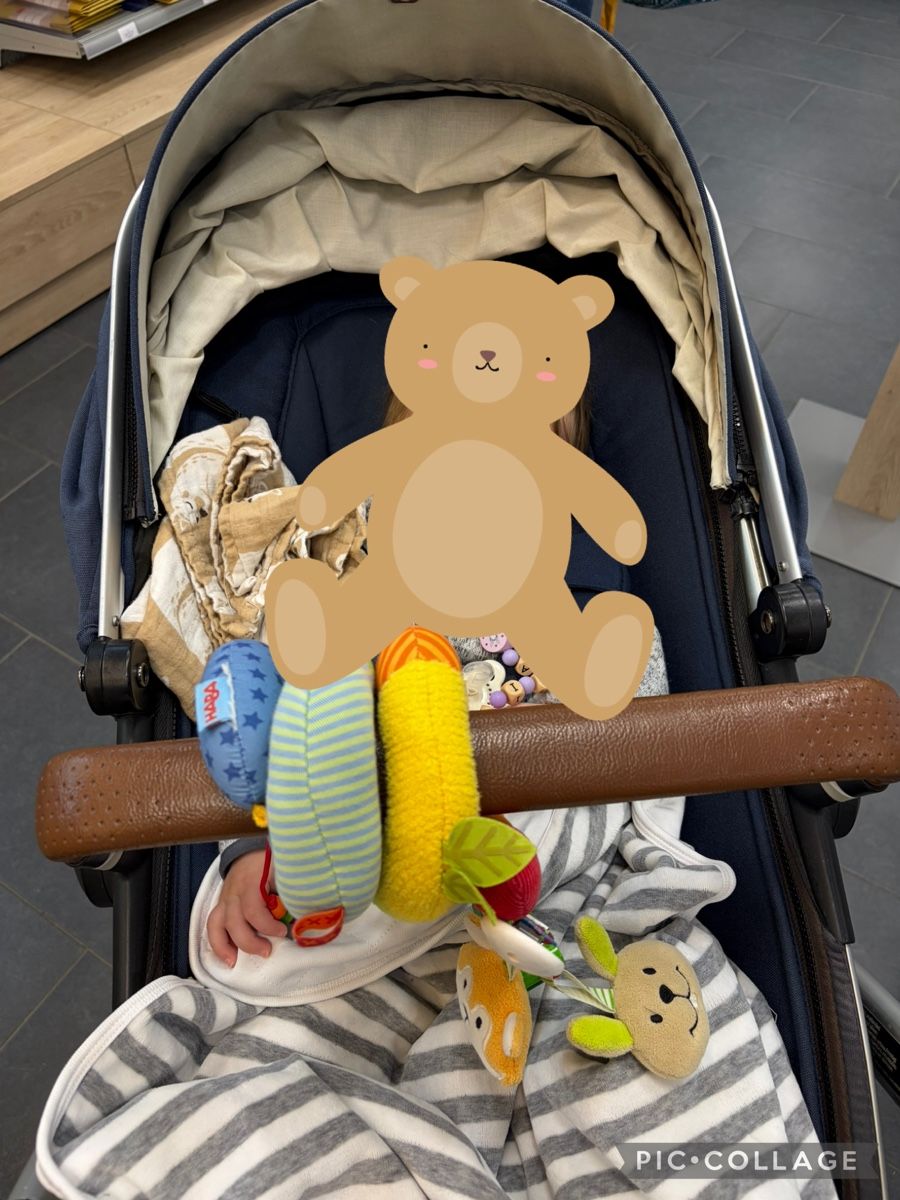 Joolz Kinderwagen: Joolz Geo 2 mit viel Zubehör  – Gebraucht aus Horw von malvengirl 3