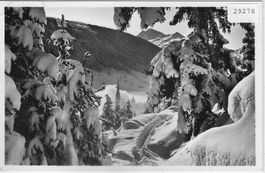Davos - Blick aus dem Schatzalpwald
