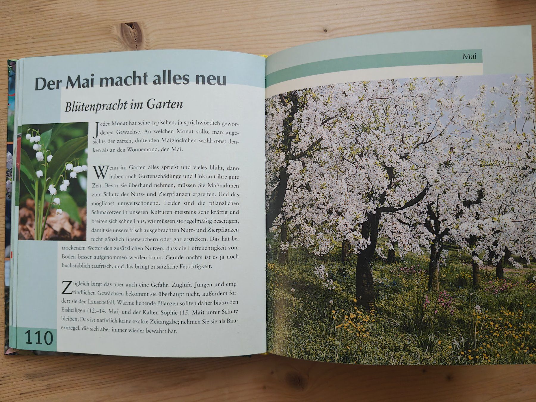 Bücher: Gartenkalender / Ratgeber - jeden Monat einzeln – Gebraucht aus Muttenz von IkaSul 1