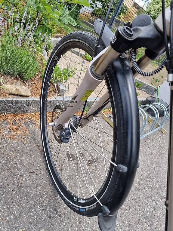 Biciclette: Velo Damenvelo Bergamont – Usato da Heerbrugg venduto da Jeton.Keka 2
