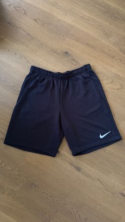 Gepflegte NIKE Herren Shorts Dri-Fit in Schwarz Gr. L
