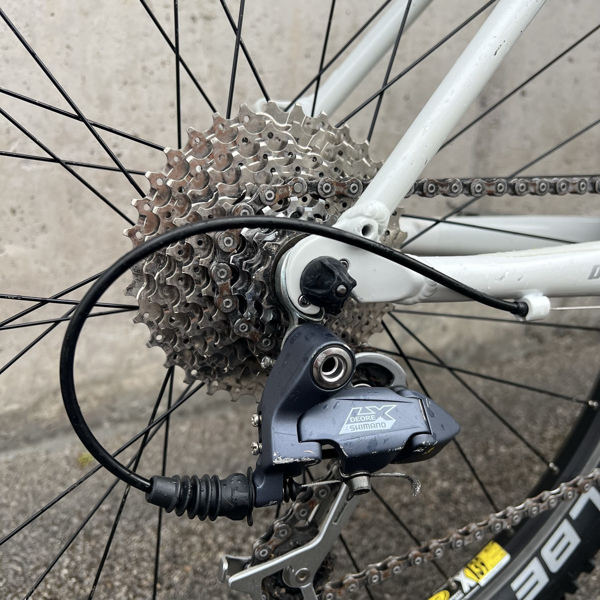 Specialized Biciclette: Specialized Rockhopper mit Shimano Deore LX – Usato da Binningen venduto da olg_yp2x 3