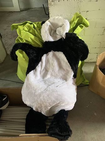Fasnacht Kostüme