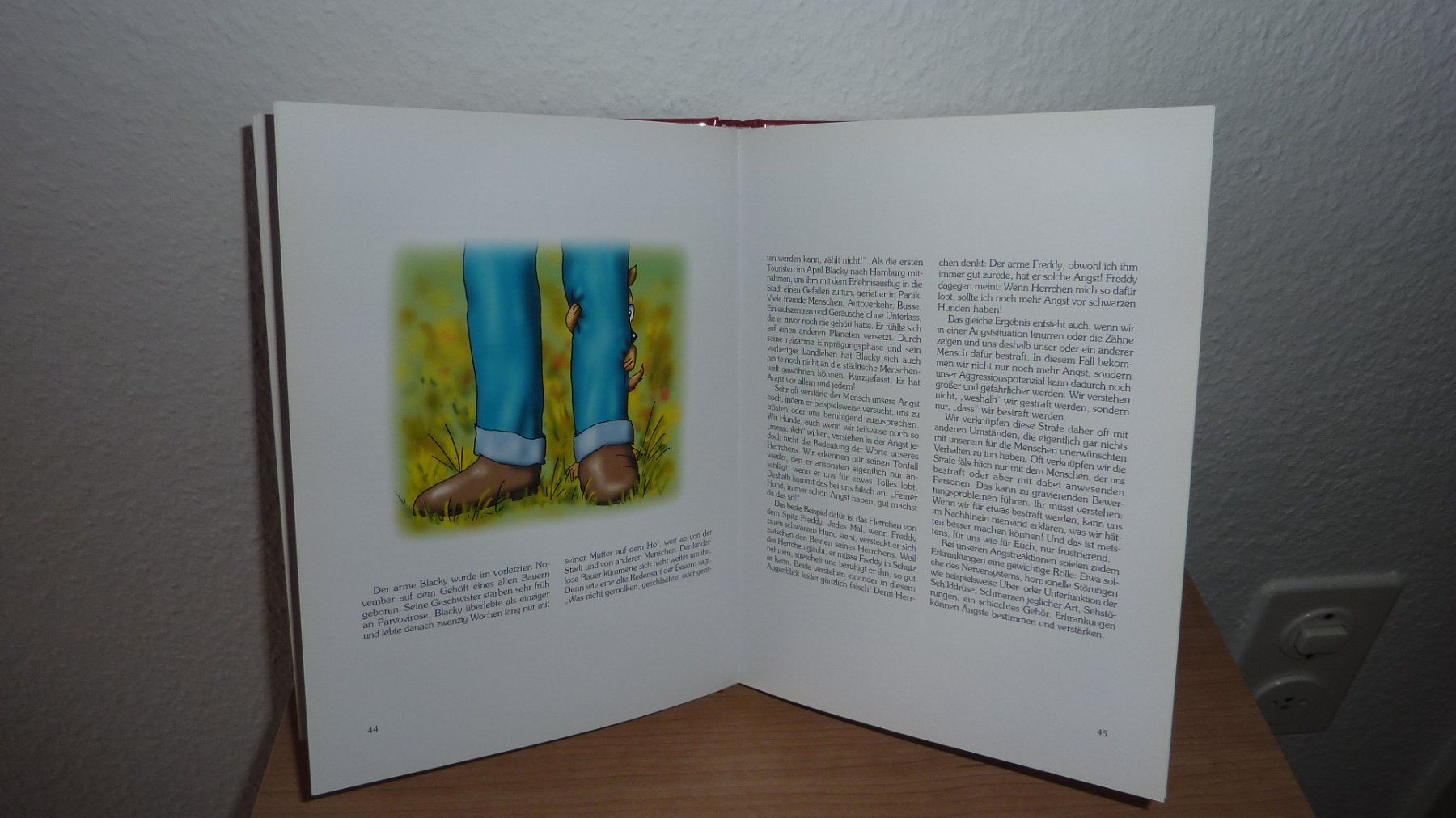 Bücher: lassie  und rex   hundebuch – Neu (gemäss Beschreibung) aus Füllinsdorf von pmarkus 1