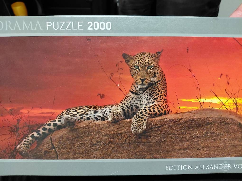Puzzle: Puzzle Leopard bei Sonnenaufgang – Usato da Schaffhausen venduto da Sommerwind67 1