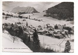AMDEN 1000 m.ü.M. Leistkamm, Nr. 6773