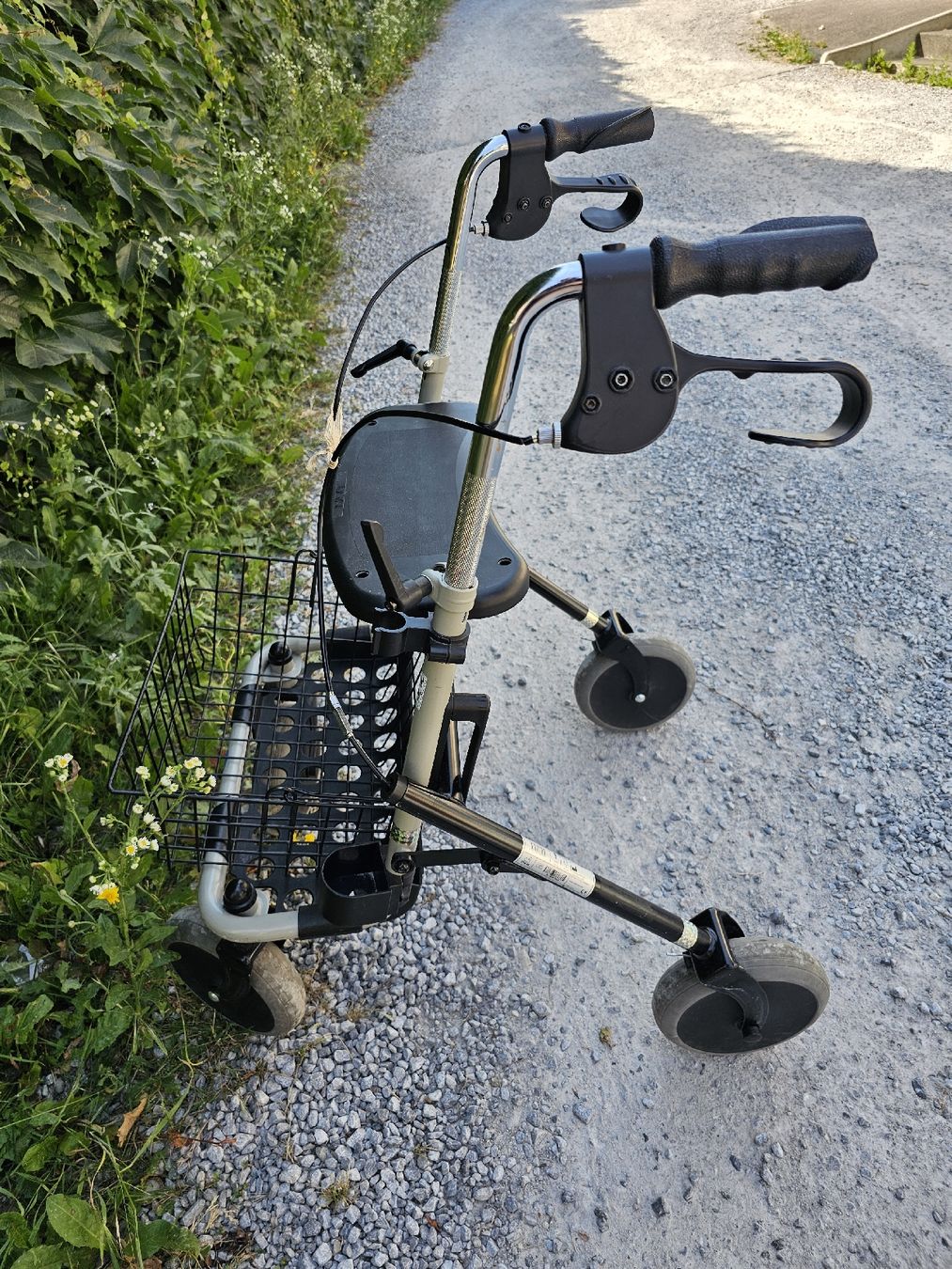 Ausili per la deambulazione: Rollator  – Usato da Meisterschwanden venduto da Hummer21 4