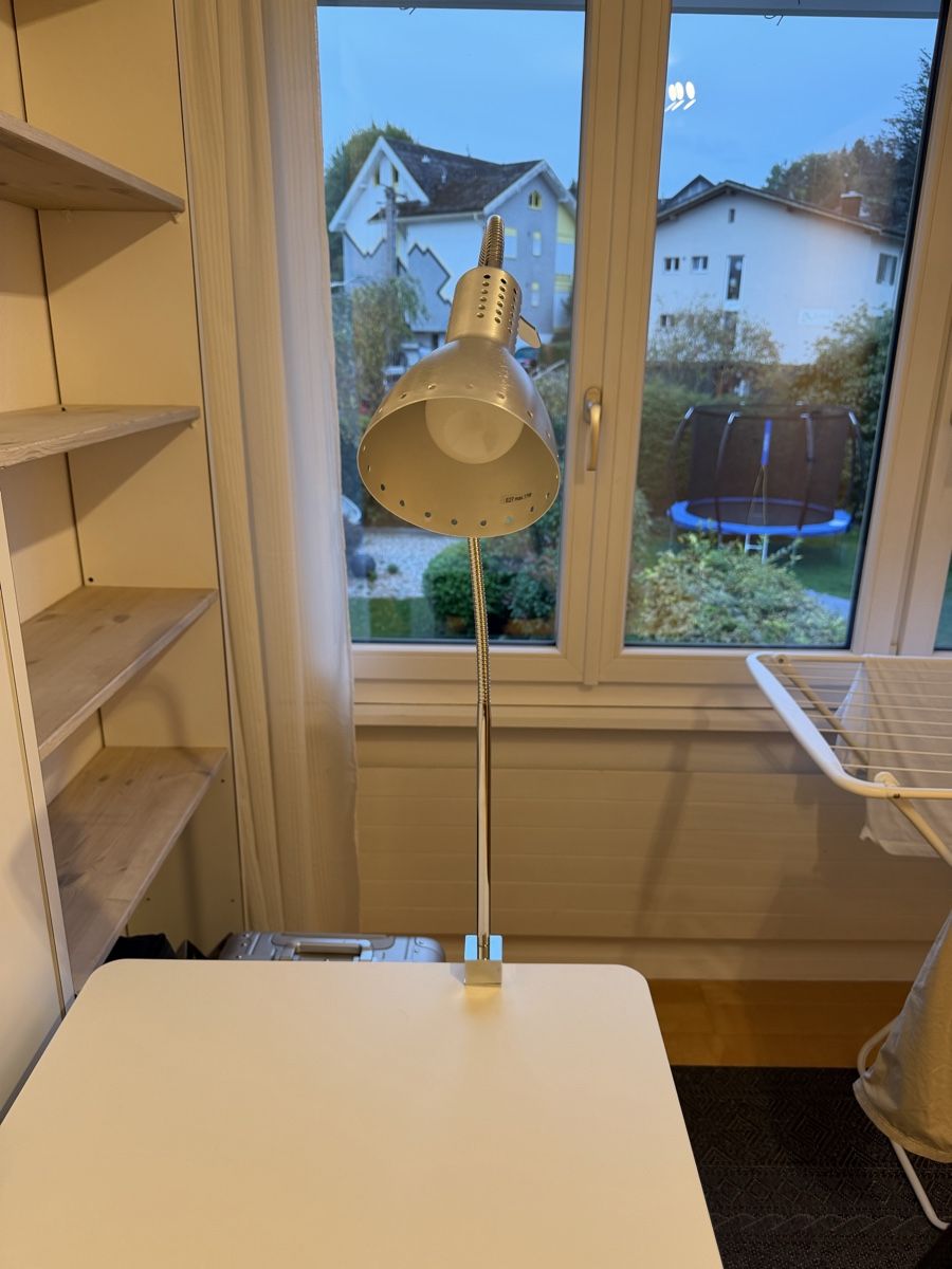 Lampes: Klemmleuchte silber mit flexiblem Arm – D'occasion à Allenwinden par Ald1985 1