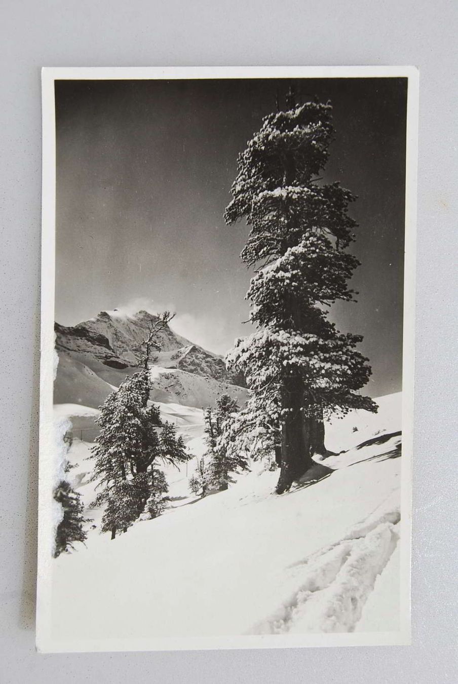 Cartoline postali: AK Grindelwald - Jungfrau – Usato da Rüfenacht BE venduto da Toro06