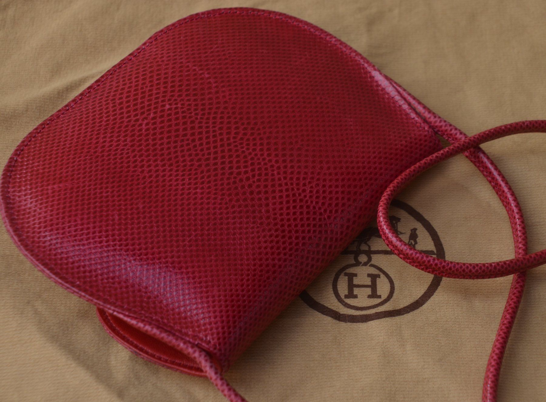 Hermès Borse da donna: Hermès Tasche Eidechsenleder / Sac cuir de lézard – Usato da Collonges venduto da Auganien 3