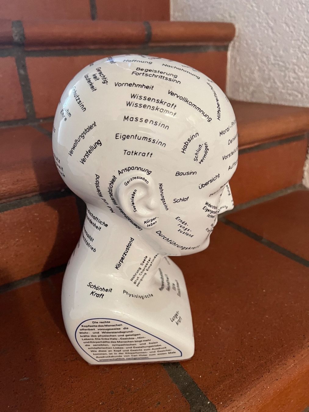 Skulpturen & Statuen: Studienkopf nach Carl Huters Psycho-Physiognomik – Gebraucht aus Zuzgen von Astrid2004 3