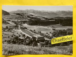 Hischwil - Wald