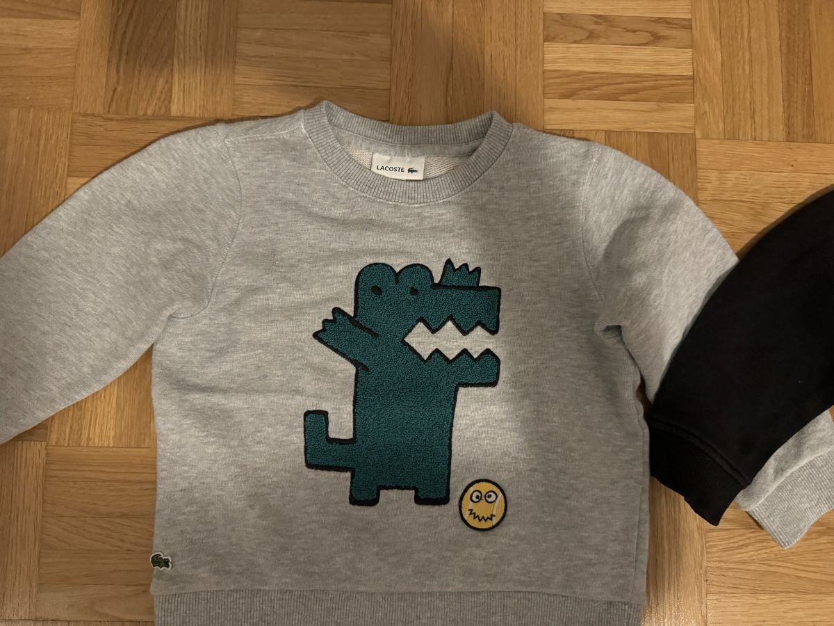 Maglioni & Felpe: Kinder Pullover Grösse 98/104 – Usato da Zürich venduto da zd_1965 1
