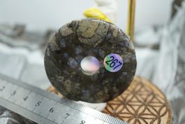 Merlinit     Pi  Scheibe  ca50mm    ab  1.-     Räumung