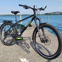 High-End Custom E-Bike SUV 2350Wh 135Nm