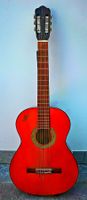 Gitarre - Royal mit Hülle und 2 Anleitungen