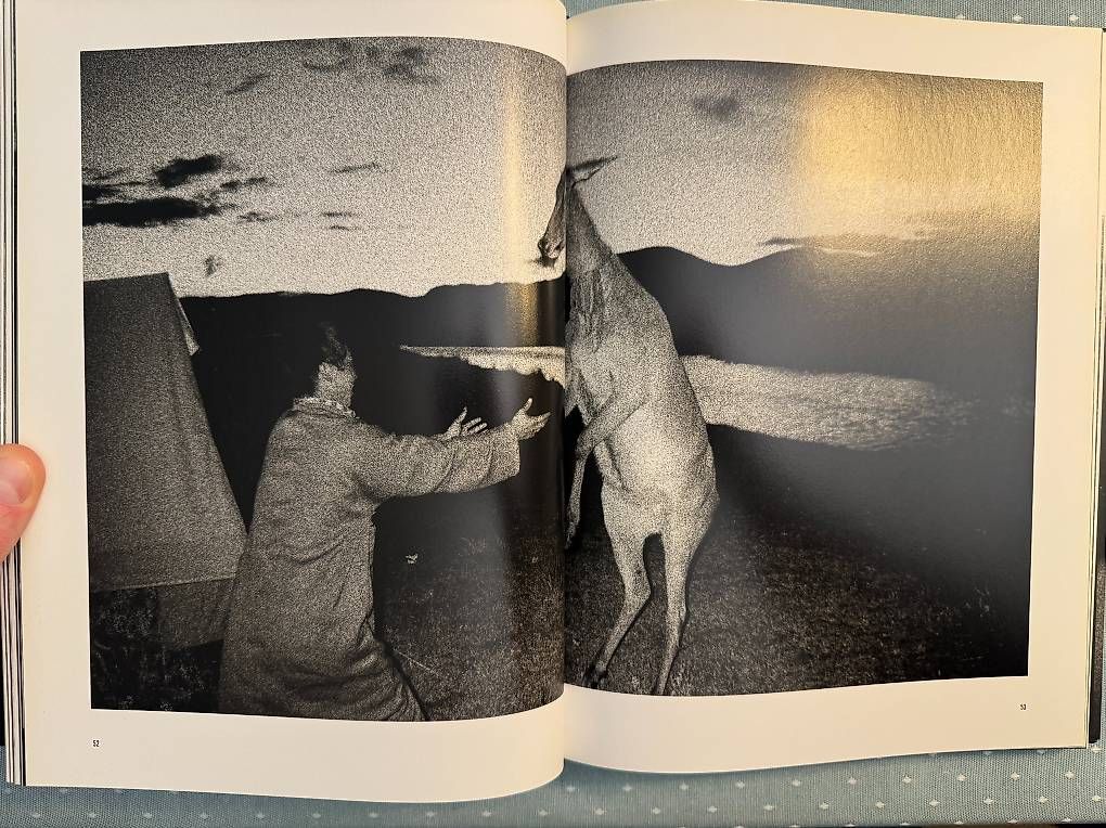 Livres: Fotobuch Julia Calfee - Spirits and Ghosts – D'occasion à Bachenbülach par photomoments 2