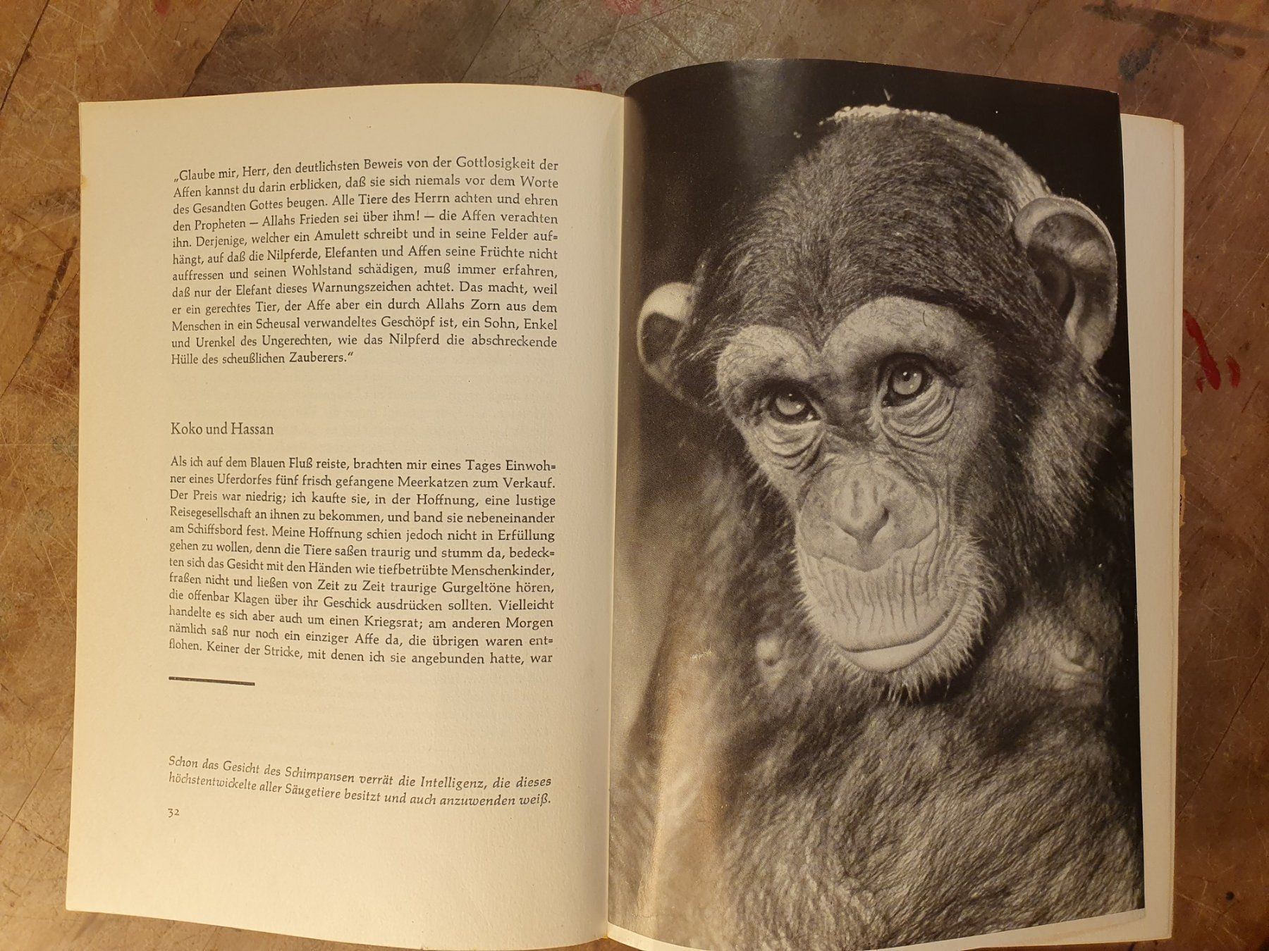 Libri: Brehms schönste Tiergeschichten – Usato da Zürich venduto da loosebone 6