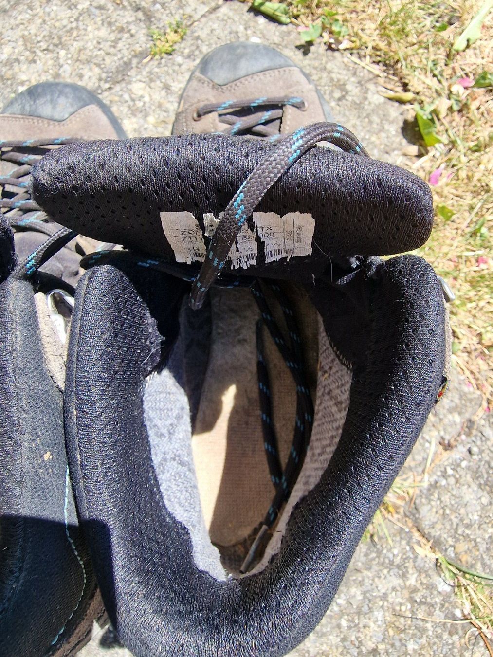 Scarpa Damenschuhe: Wanderschuhe von Scarpa – Gebraucht aus Ittigen von aviglobal 2
