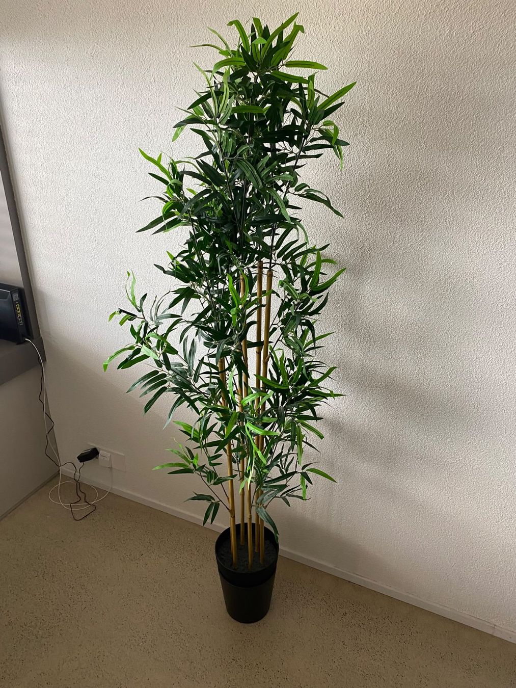 Ikea Vasi per fiori: Bamboo artificial plant – Usato da Zürich venduto da gio_peirano98 1