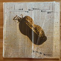VOICE OF AUTHORITY - very big in america right now - LP