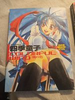 Dragon Magazine Special Colorful Wind Artwork Buch Japanisch