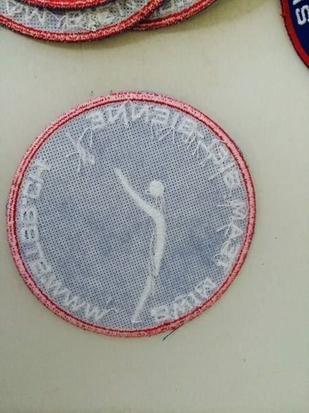 Patches: Swim Team Biel/Bienne- Aufnäher – Neu (gemäss Beschreibung) aus Brügg BE von rutschimedizin 1