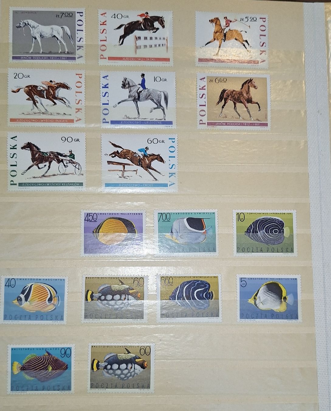 Tutti i francobolli: Briefmarkensammlung Polen – Usato da Balgach venduto da SIMEON27 7