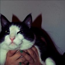Profile image of DieMelone