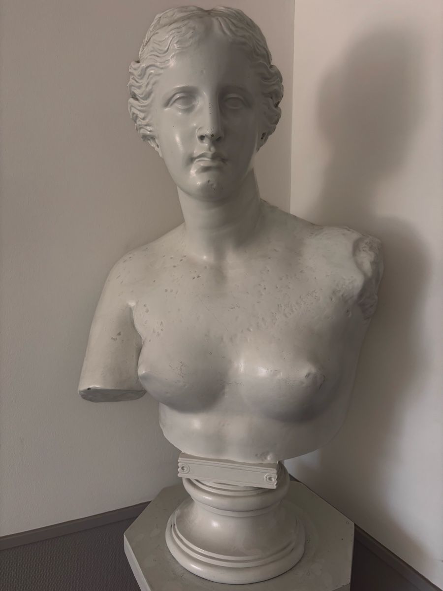 Skulpturen & Statuen: Venus von Milo Büste, Polyester, Deko-Figur – Gebraucht aus Zollikon von lar_572k 3