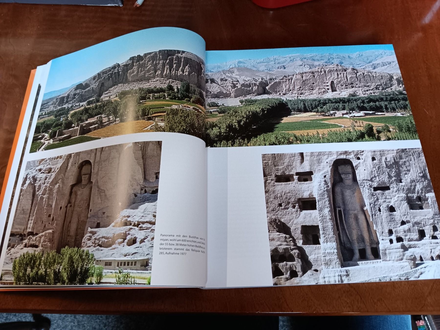 Libri: Das Buddhistische ERBE PAKISTANS – Usato da Erstfeld venduto da Uhu1980 2