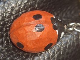 🐞SCHLÜSSELANHÄNGER 🐞MARIENKÄFER🐞 🐞 HOLZ 🐞