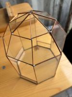 6 Stück Glashaus/Gewächshäuschen für Sukulenten/ Kakteen