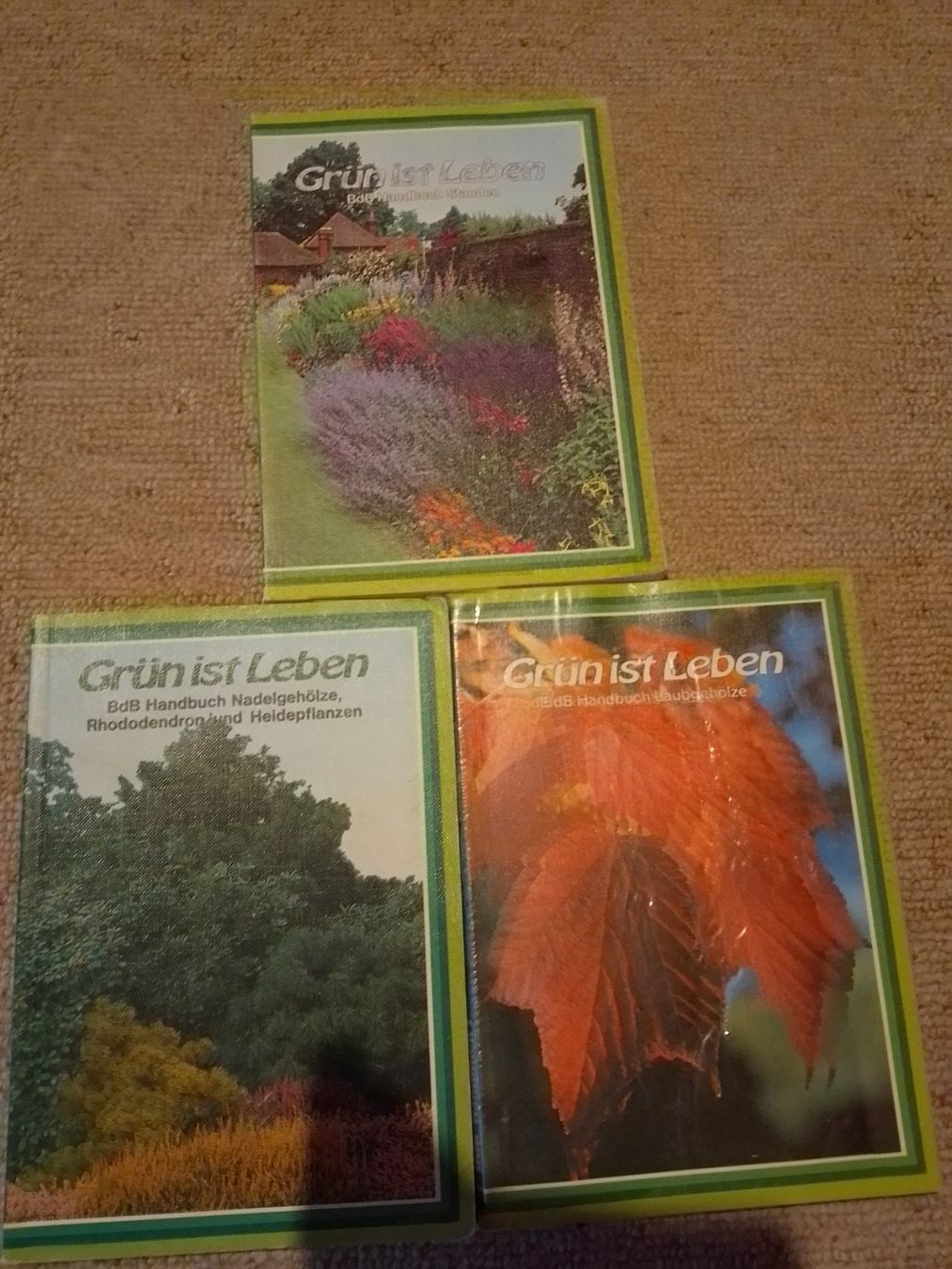 Libri: Gartenbau, Baumschule- Fachbücher – Usato da Weinfelden venduto da PaterPio1968 1