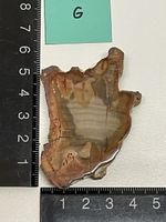 Heilstein / versteinertes Holz / Edelstein