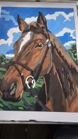 Pittura cavallo marrone dipinto a mano con colori acrilici