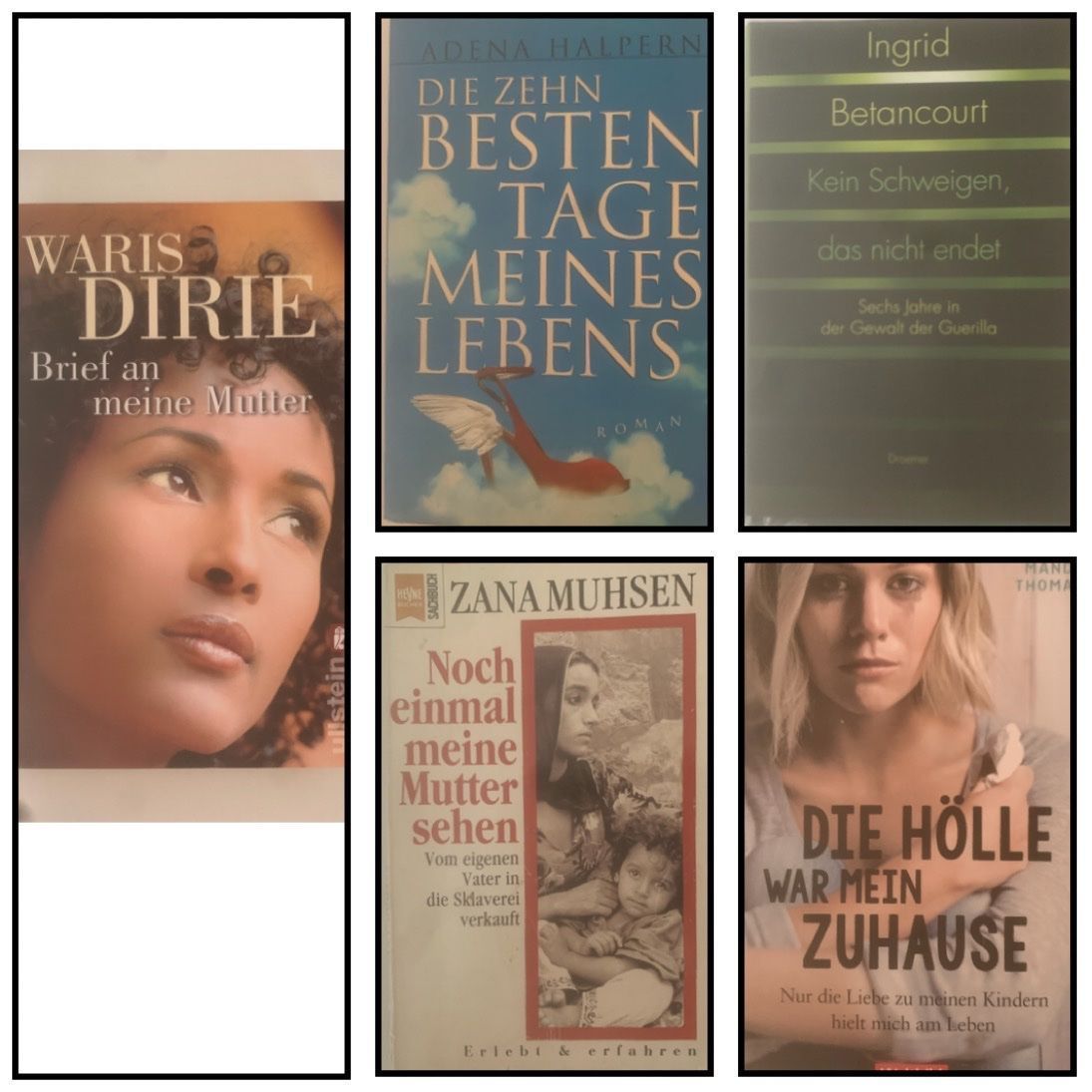 Libri: Bücherpaket – Usato da Oberhofen Thun'see venduto da ClaudiaKelesh