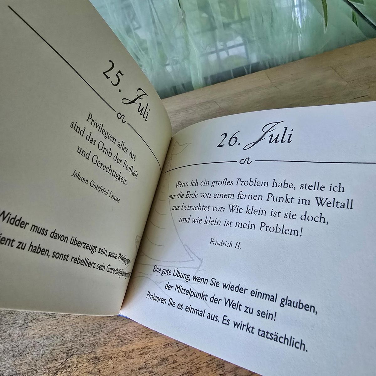 Libri: Widder – Usato da Merlischachen venduto da Sheavy 7