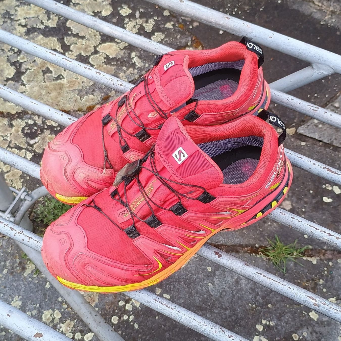 Salomon Scarpe da uomo: Wanderschuhe / Trekkingschuhe - Salomon – Usato da St. Gallen venduto da cabbageindustries 2